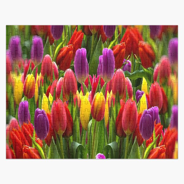 Artikel-Vorschau von Tulpen - Schön, designt und verkauft von Fit & Fun  Gallery.