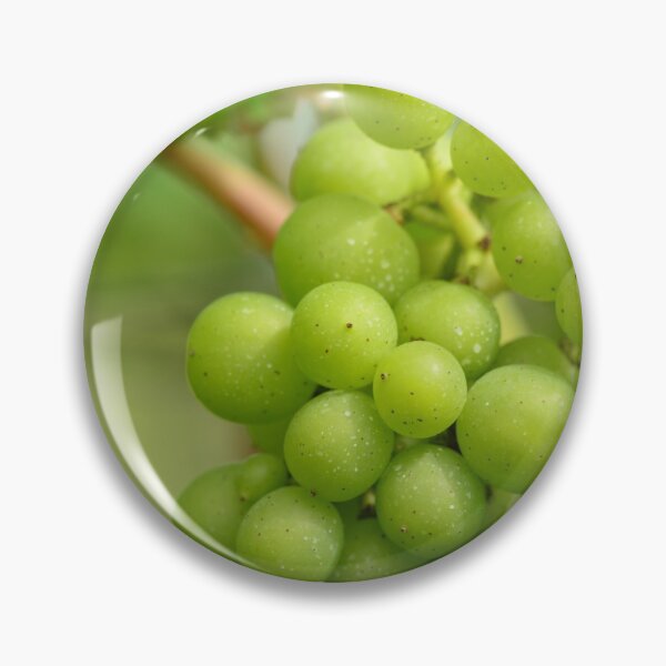 Item preview, Green grapes in a Belgian vineyard designed and sold by wineandwords.