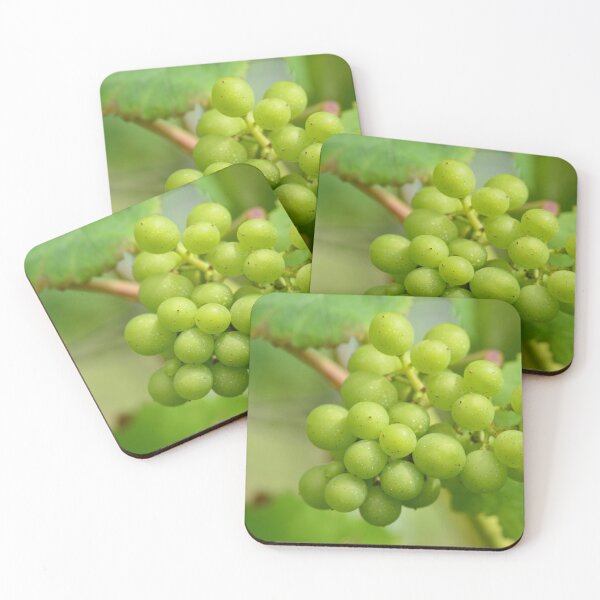 Item preview, Green grapes in a Belgian vineyard designed and sold by wineandwords.