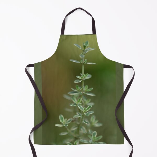 Item preview, Silver thyme in the urban garden. designed and sold by wineandwords.