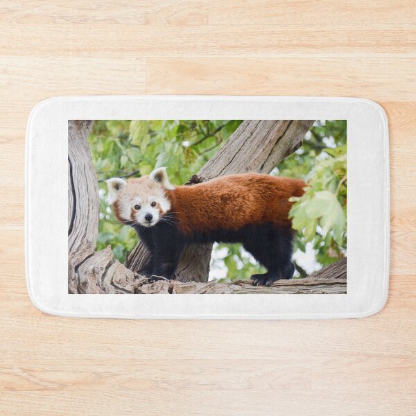 Item preview, RedPanda designed and sold by Ksswaden.