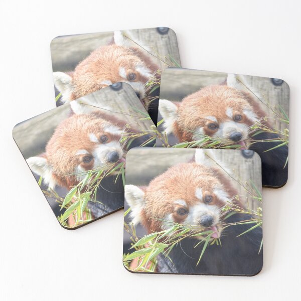 Item preview, RedPanda eating designed and sold by Ksswaden.