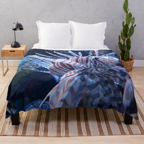 Item preview, Zebra turkeyfish by Katy Christoff designed and sold by KatyChristoff.