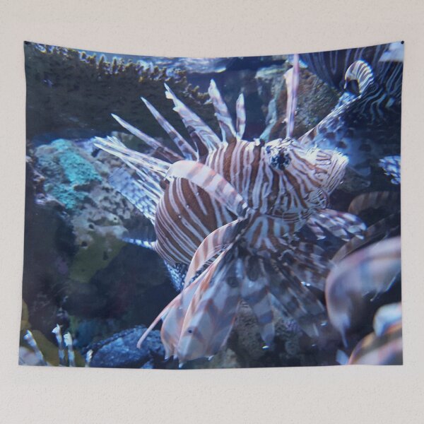 Item preview, Zebra turkeyfish by Katy Christoff designed and sold by KatyChristoff.