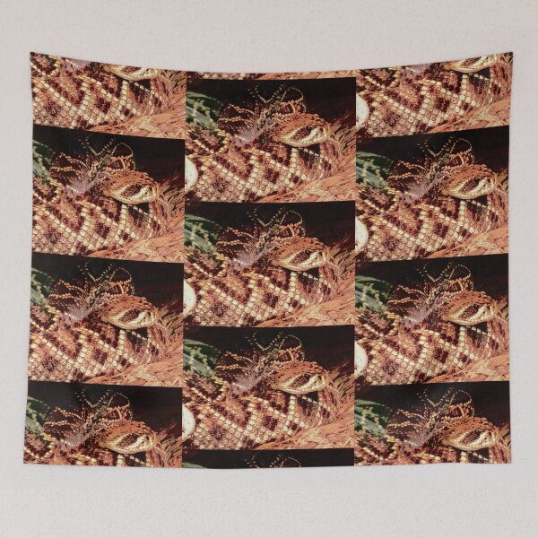 Item preview, Rattlesnakeready to strike photo by Katy Christoff  designed and sold by KatyChristoff.