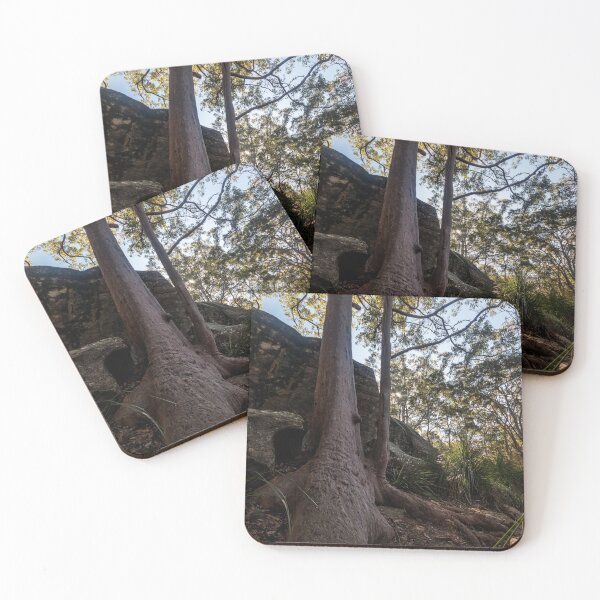 Item preview, Bushland at Kincumber Mountain on NSW Central Coast	 designed and sold by Geoff Wols.