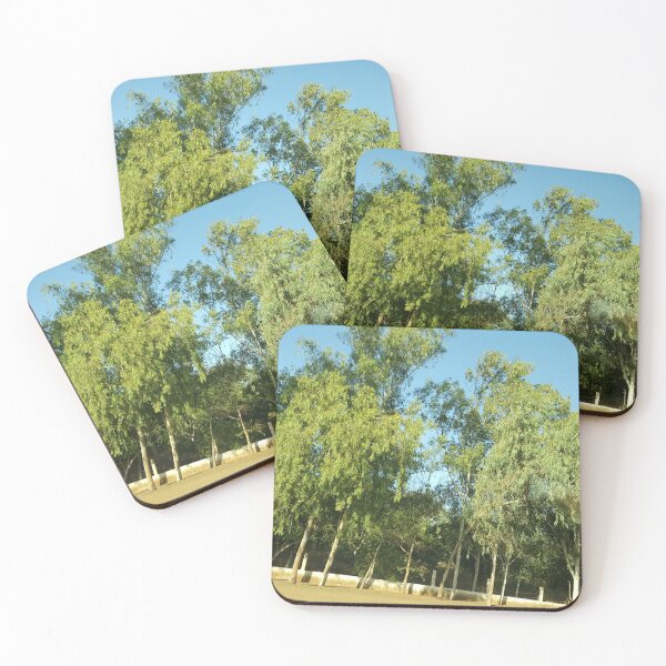 Item preview, forest collection designed and sold by diawarma.