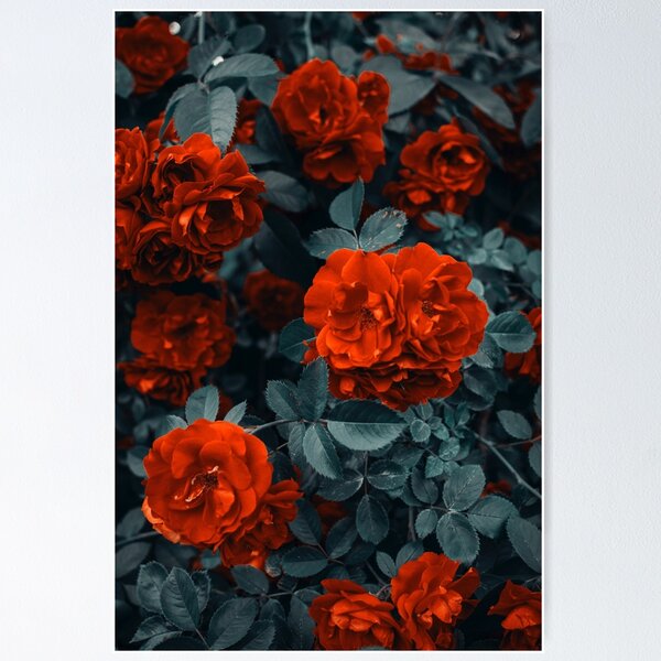 Item preview, Beautiful fall scenery red flowers and black designed and sold by Jenns  Shop.