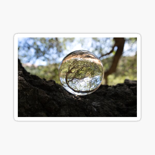 Item preview, Forest In A Glass Crystal Ball designed and sold by edwinvisuals.