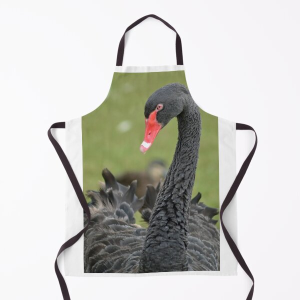 Item preview, Black Swan designed and sold by TheaShutterbug.