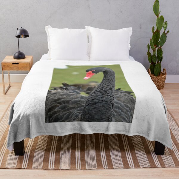 Item preview, Black Swan designed and sold by TheaShutterbug.