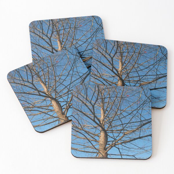 Item preview, Branching out designed and sold by Rennie Palmer.