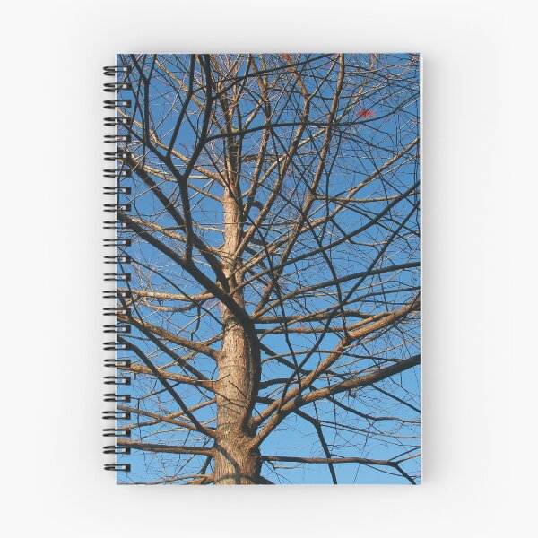 Item preview, Branching out designed and sold by Rennie Palmer.