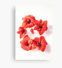 RED challenge Canvas Print