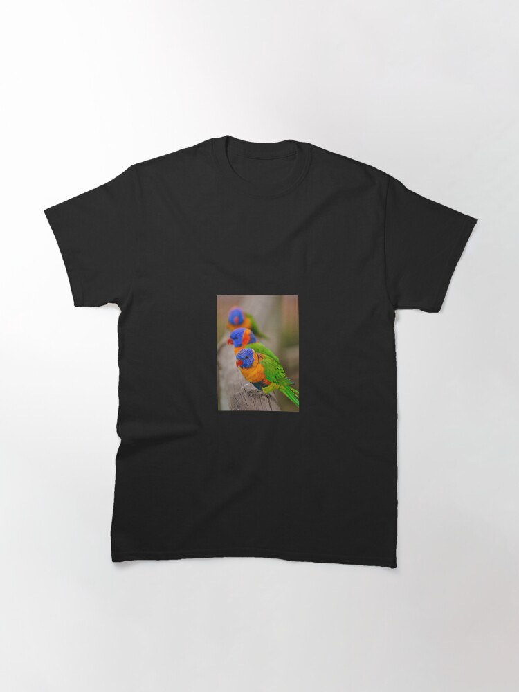 Alternate view of rainbow lorikeets Classic T-Shirt