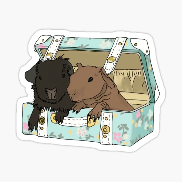 Item preview, Pack the Essentials designed and sold by SBSkinnyPigs.