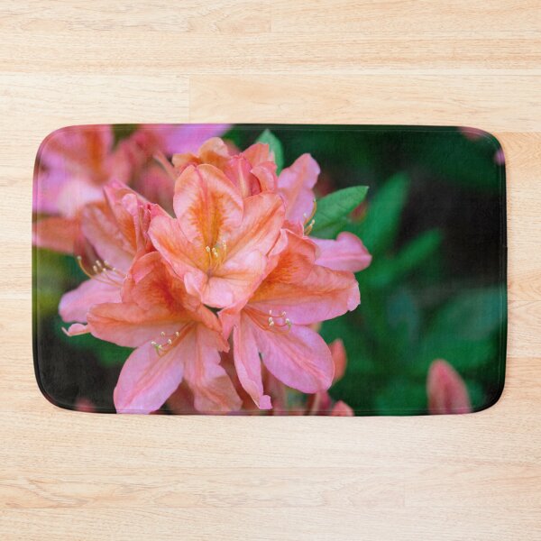 Item preview, Orange rhododendron blooming designed and sold by Amalus-files.