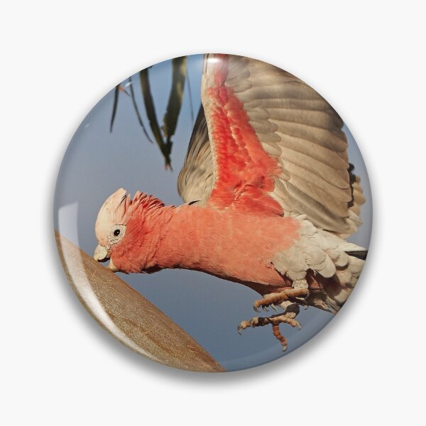 Item preview, Galah ~ Precision Landing??? designed and sold by Robert Elliott.