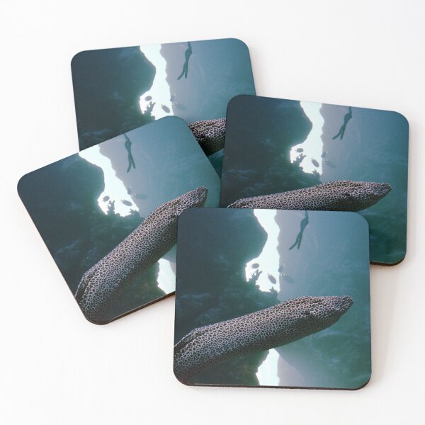 Item preview, laced moray aquarium designed and sold by MiraNomegusta.