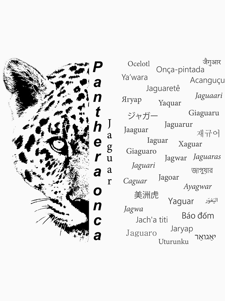 "Jaguar names" Tshirt for Sale by PantheraOnca Redbubble cat t