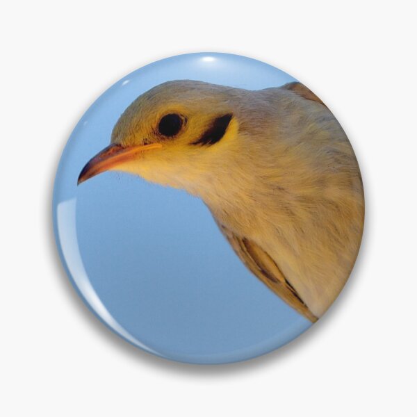 Item preview, Yellow-tinted Honeyeater ~ Please say cheese designed and sold by Robert Elliott.