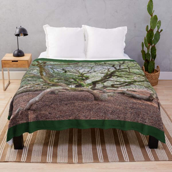 Item preview, Under Angel Oak, South Carolina designed and sold by Catherine Sherman.
