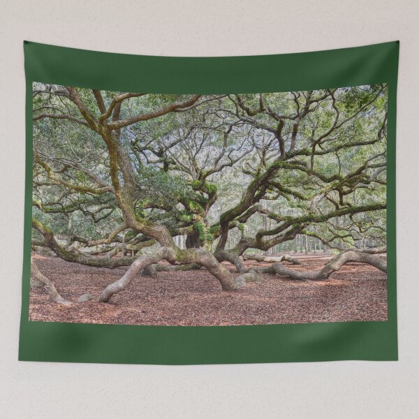 Item preview, Under Angel Oak, South Carolina designed and sold by Catherine Sherman.