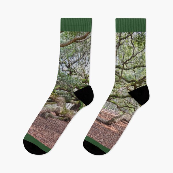 Item preview, Under Angel Oak, South Carolina designed and sold by Catherine Sherman.