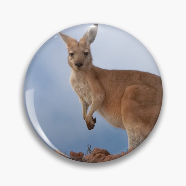 Item preview, I am Australian ~ Euro designed and sold by Robert Elliott.