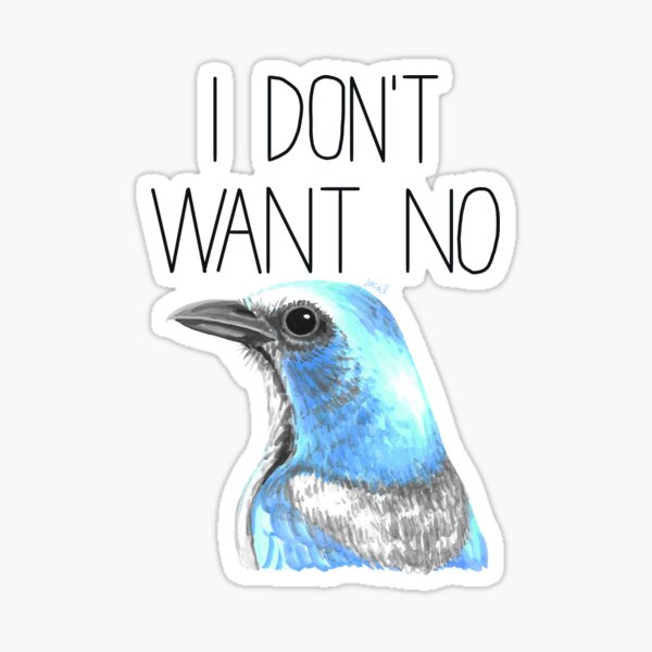 Item preview, I Don't Want No Scrubs (Florida Scrub Jay) designed and sold by LauraWolfArtist.