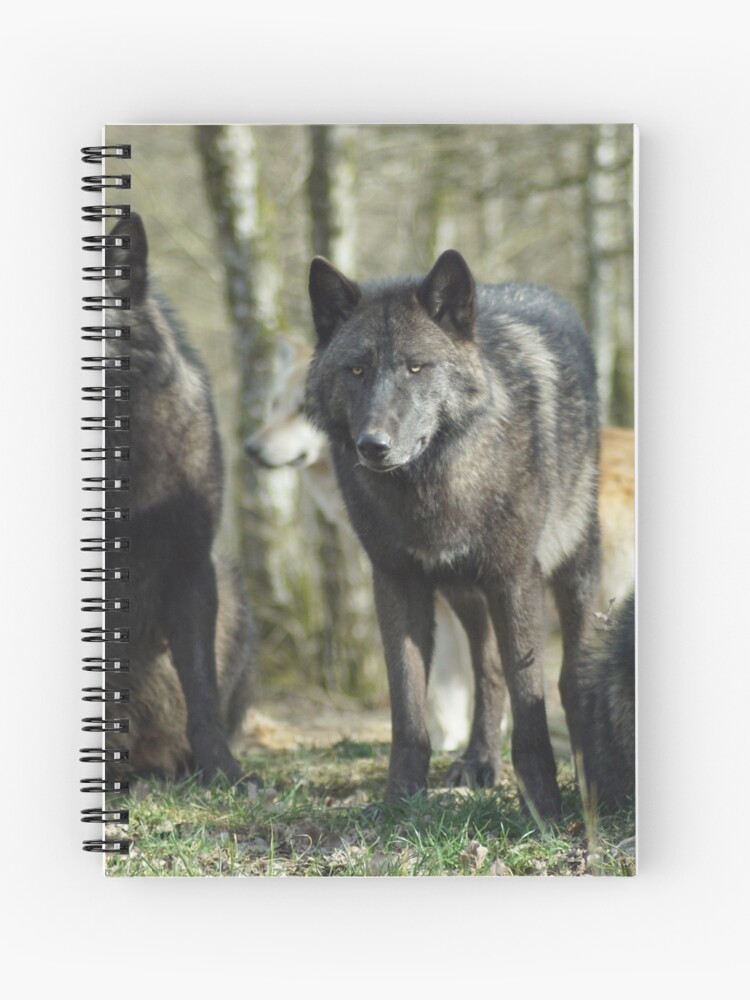 Cuaderno de espiral «Lobos salvajes Manada de lobos Bosque Naturaleza  Animales» de WichitaClothing | Redbubble