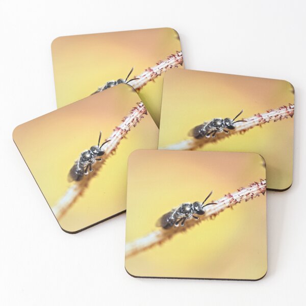 Item preview, Stingless bee resting on a flower stem designed and sold by hendrikspix.