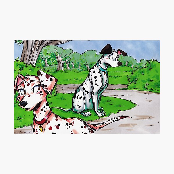 SouRin Dalmatians Photographic Print