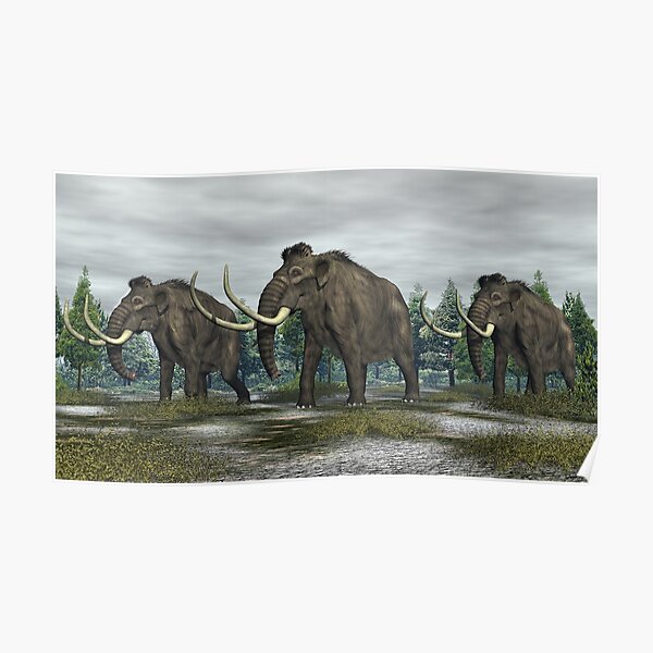 Woolly Mammoth Poster