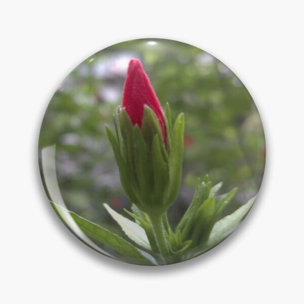 Item preview, A macro photo of a wonderful flower designed and sold by AhMath.