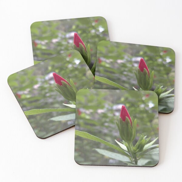 Item preview, A macro photo of a wonderful flower designed and sold by AhMath.