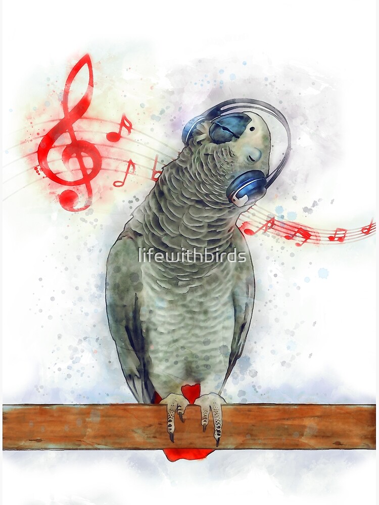 Simple Unique Animal Bird African Grey Stock Vector (Royalty Free)  2138716519 | Shutterstock