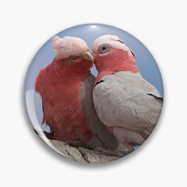 Item preview, Galahs ~ "True Love" designed and sold by Robert Elliott.