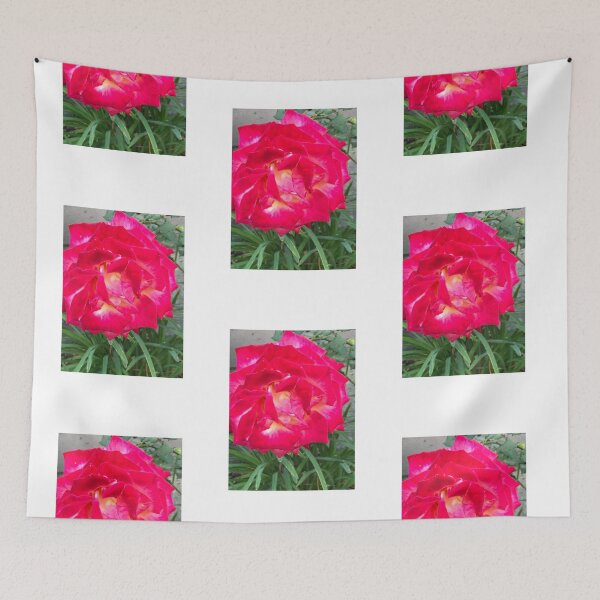 Item preview, A Single Red Rose in Bush designed and sold by RONZk.