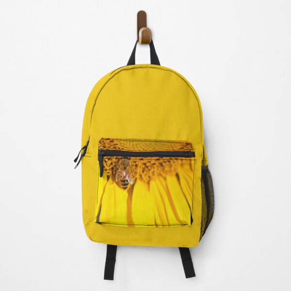 backpack in Queensland, Bags