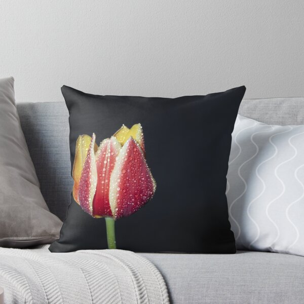 Item preview, Tulipán designed and sold by MarkFoleyPhoto.