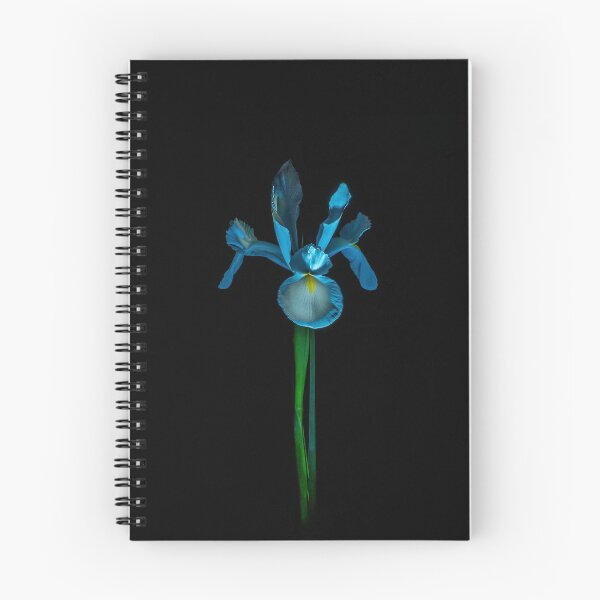 Item preview, Blue Iris on Black  designed and sold by MarkFoleyPhoto.