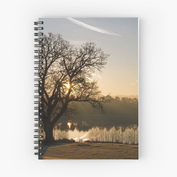Item preview, Forest Mere Dawn designed and sold by Sue Robinson.