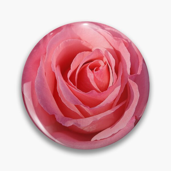 Artikelvorschau, Leuchtende "Cherish" Rose entworfen und verkauft von rvjames.