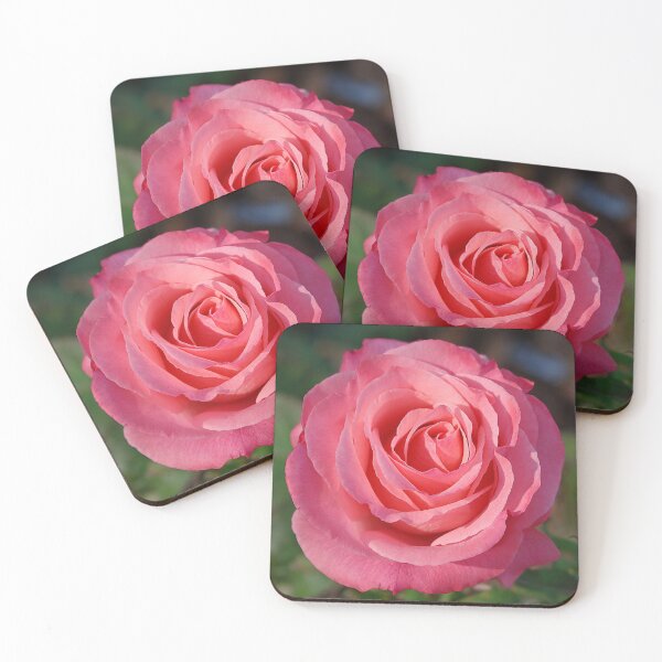 Item preview, Glowing 'Cherish' Rose designed and sold by rvjames.
