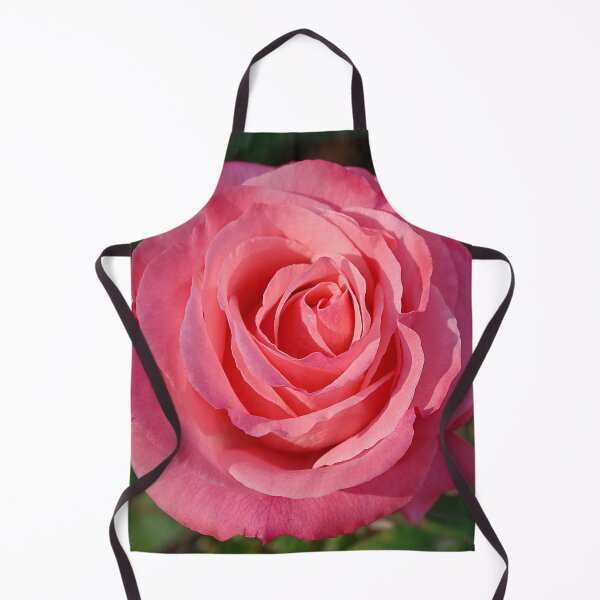 Item preview, Glowing 'Cherish' Rose designed and sold by rvjames.