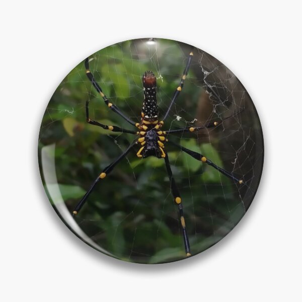 Item preview, A macro photo of a spider (a giant Golden Orb Weaver) designed and sold by AhMath.