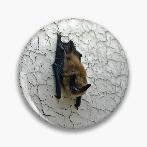 Item preview, Batty Grin designed and sold by Catherine Melvin.