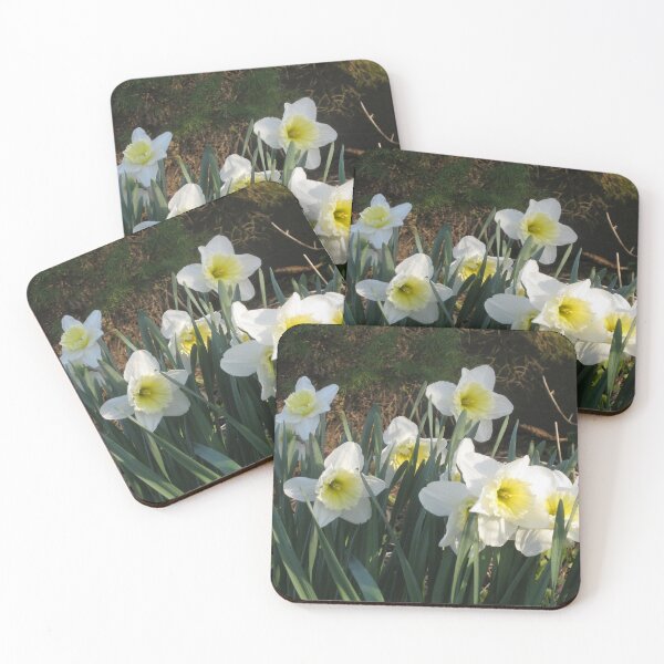 Item preview, Ice Folly Daffodil flowers designed and sold by FlowersAndMore.