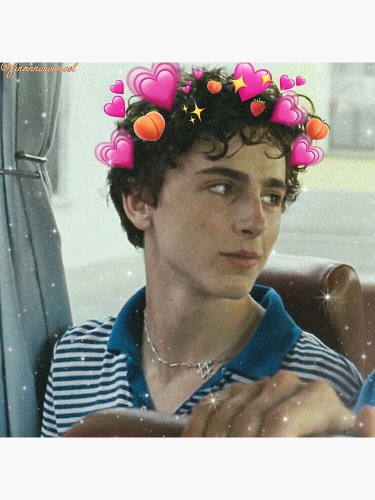 pin: andycastellon  Call me, Thimotée chalamet, I call you